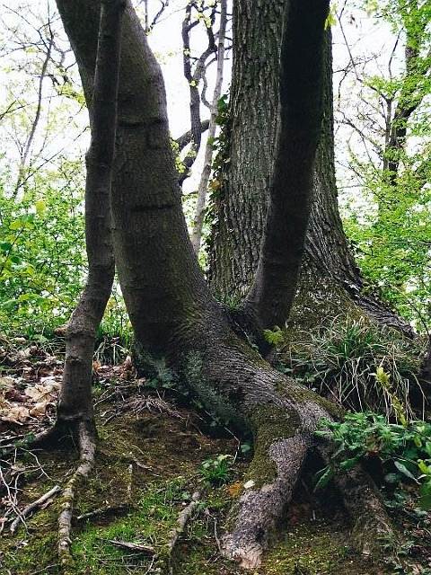 Assise tout simplement.jpg